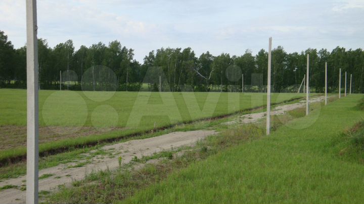 Участок 10 сот. (СНТ, ДНП)