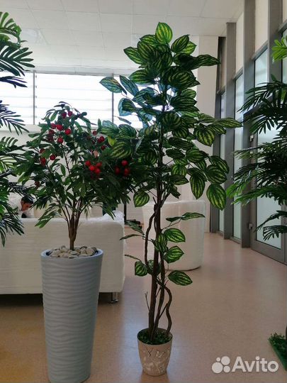 Искусственные деревья и цветы