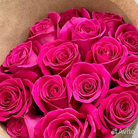 Роза Розы Роза