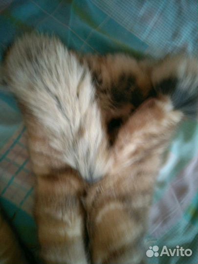 Норковая шуба