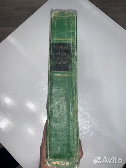 Атлас анатомии человека синельников
