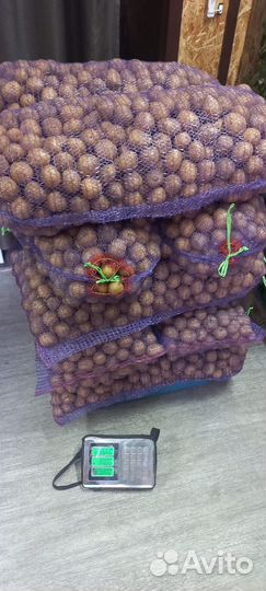 Продам картофель оптом