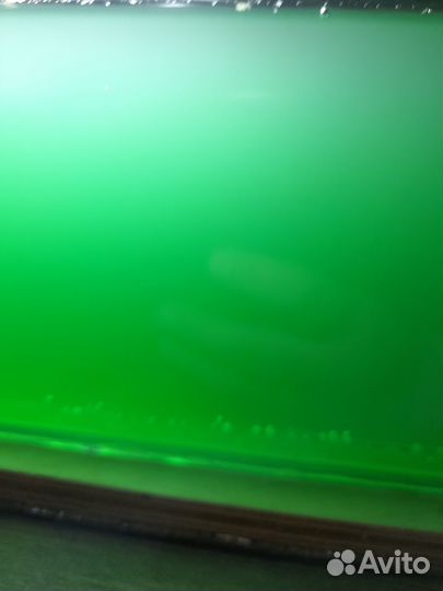 Живые культуры и растения