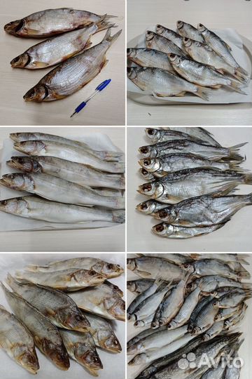Рыба вяленая оптом