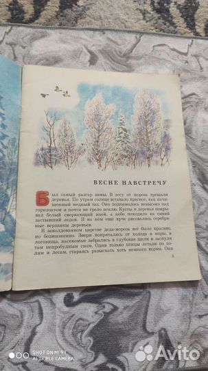 Здравствуй солнце красное