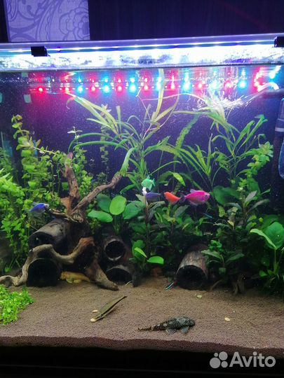 Продам аквариум 90 литров