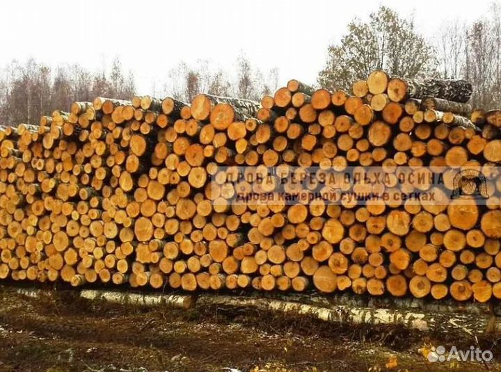Дрова навалом