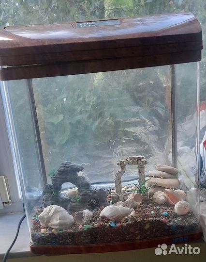 Аквариум