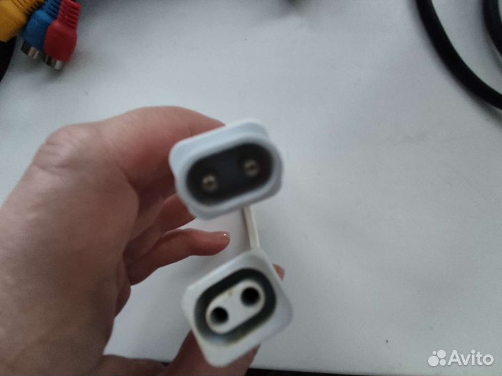 Тюльпаны провода