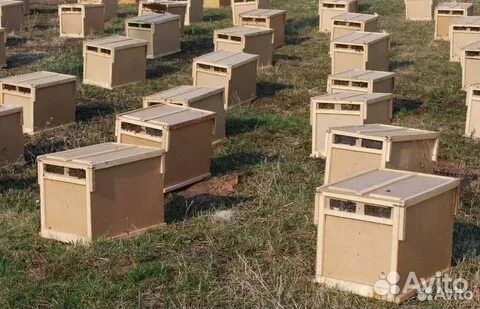 Ловушки.Сушь,вощина,рамки,ульи,пчелоинвентарь