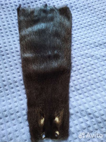 Шкурка животного