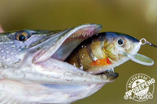 Воблер Jaxon Karas