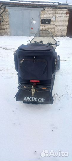 Arctic cat bear cat
