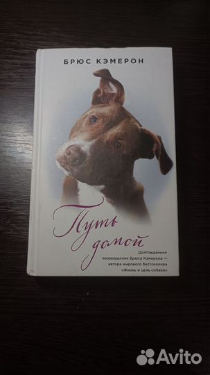 Брюс Кэмерон 