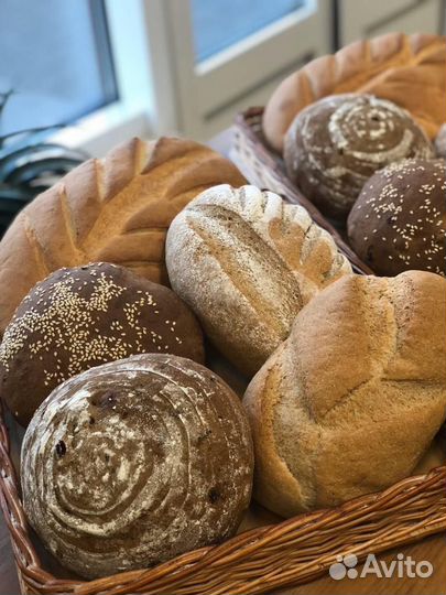 Пекарня под ключ