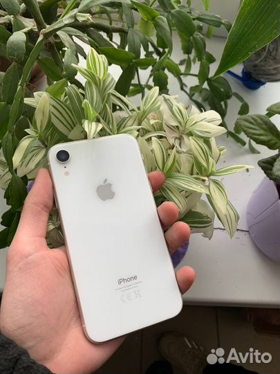 iPhone Xr, 256 ГБ