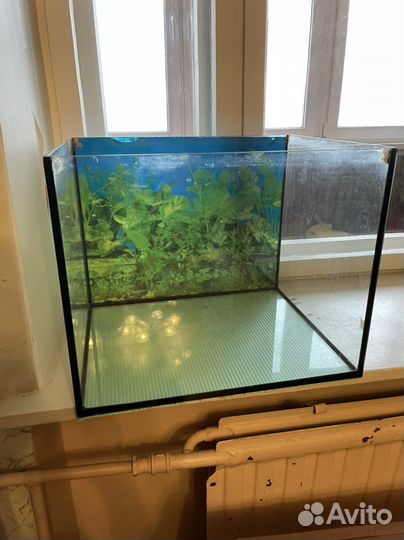 Аквариум