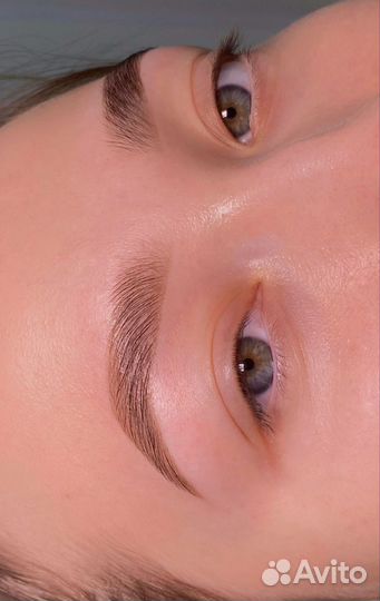 Мастер-бровист