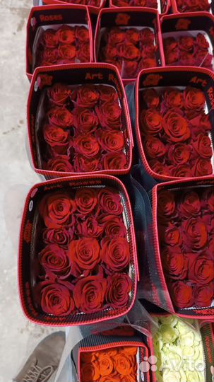 Цветы оптом по всей России