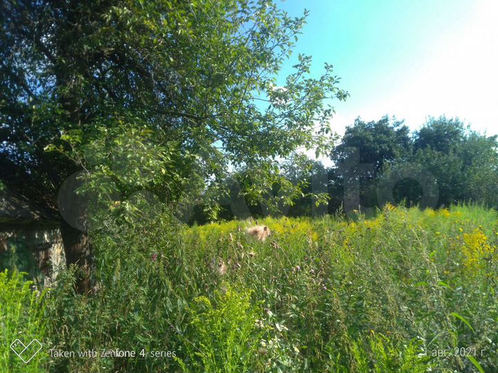 Дом 56,3 м² на участке 22 сот.