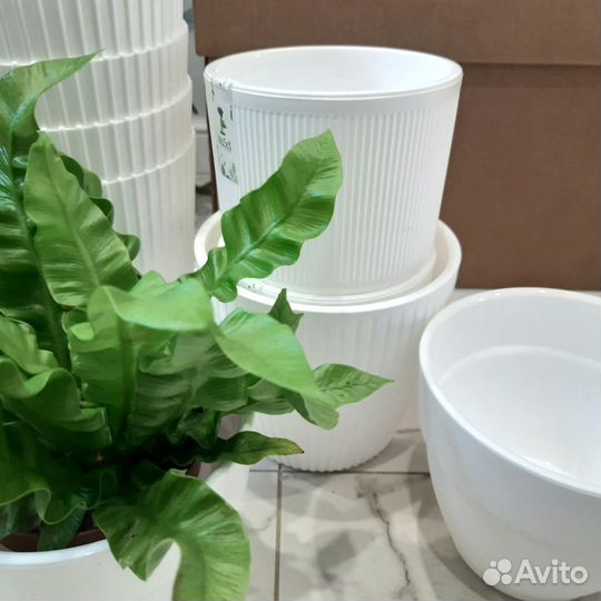 Горшки для цветов белые / Горшок для цветов