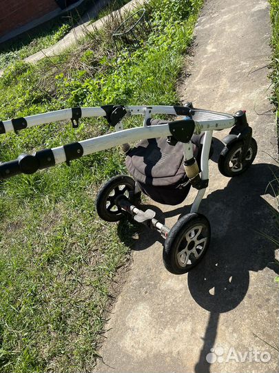 Коляска адамекс 2 в 1