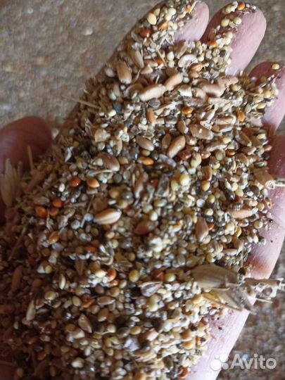 Зерноотходы