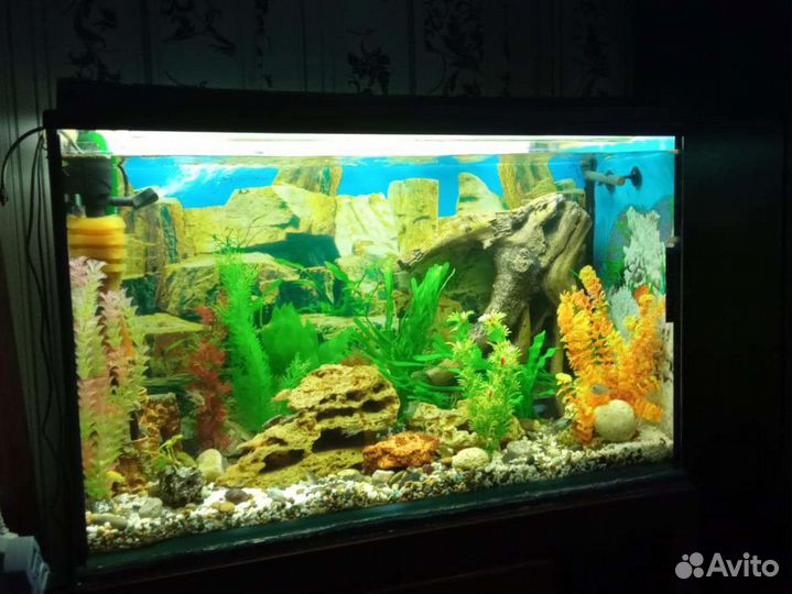 Аквариум