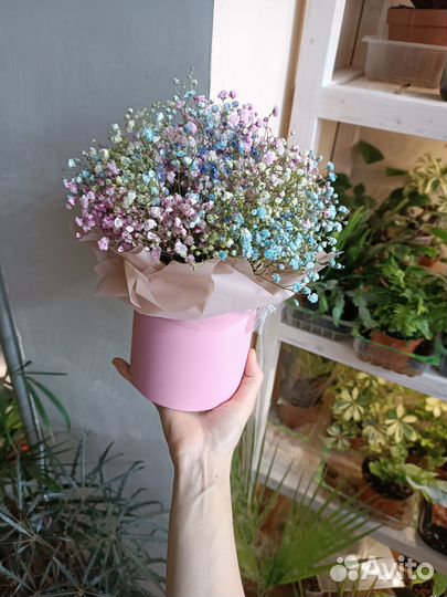 Букет из Гипсофилы. Цветы