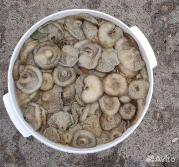 Грибы грузди соленые