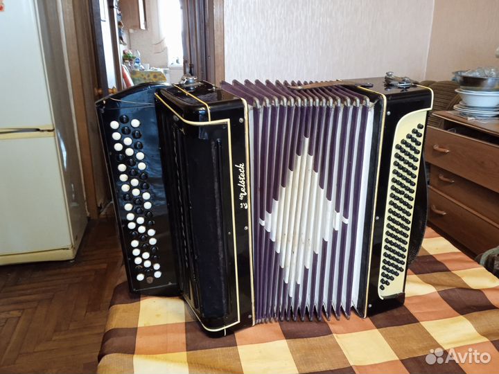 Баян немецкий 