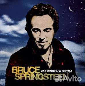 Bruce Springsteen - Working On A Dream (180g) (2 L