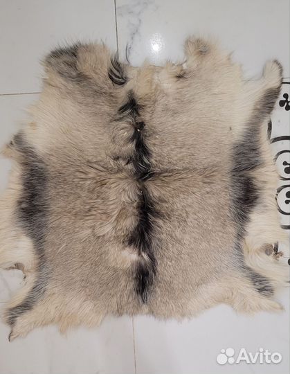 Шкурка животного