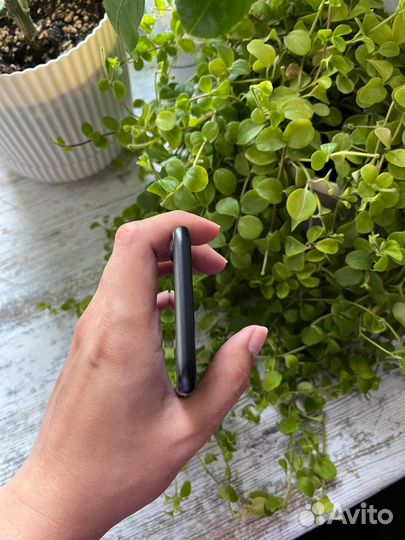 iPhone SE (2020), 64 ГБ