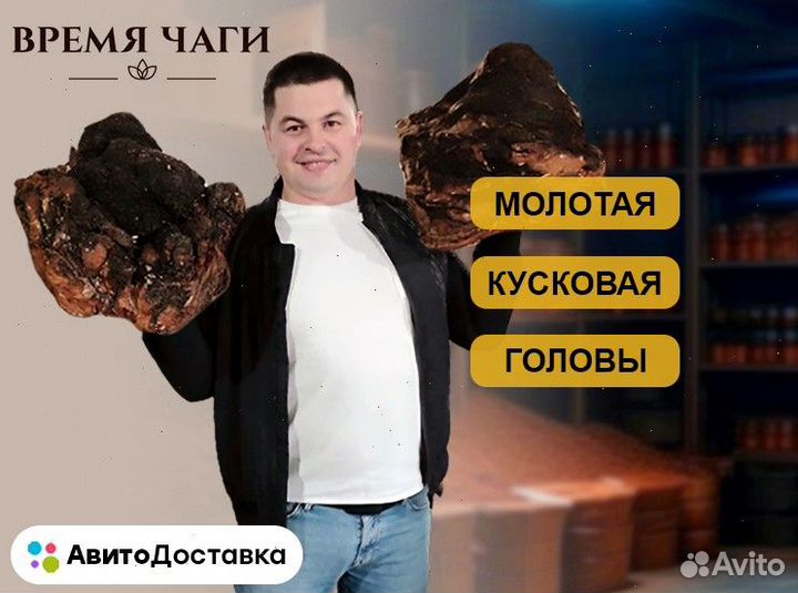 Чага сушеная / молотая и кусковая