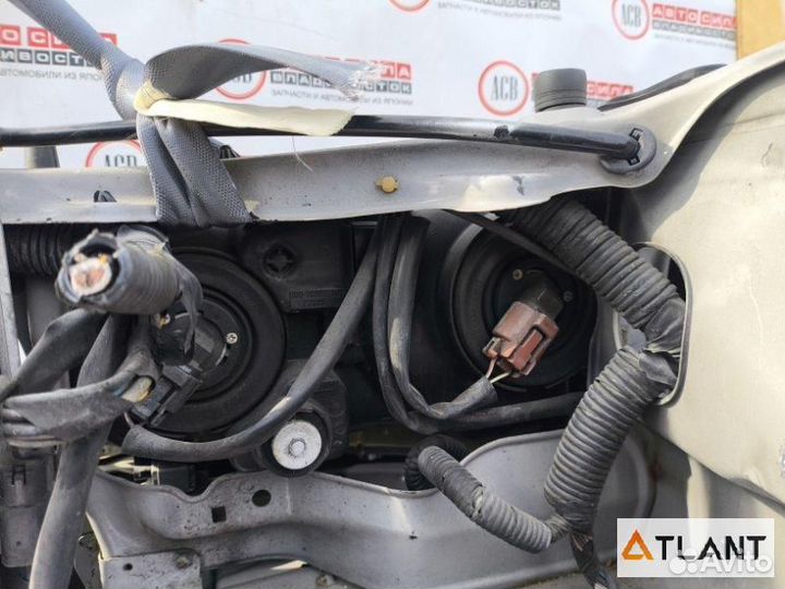 Nose cut toyota ipsum