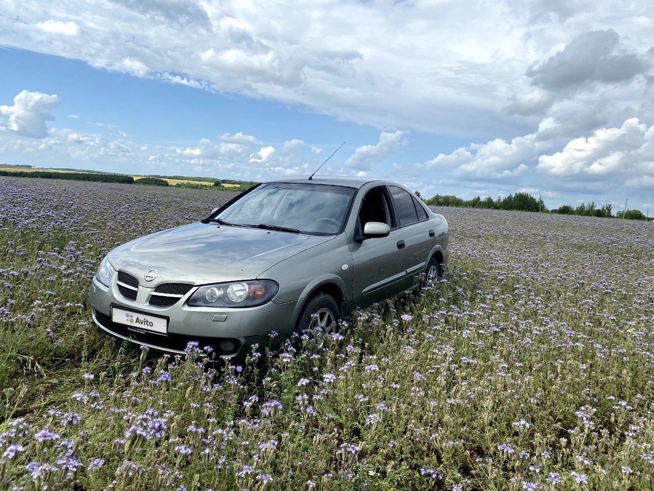 Nissan Almera: фото владельца