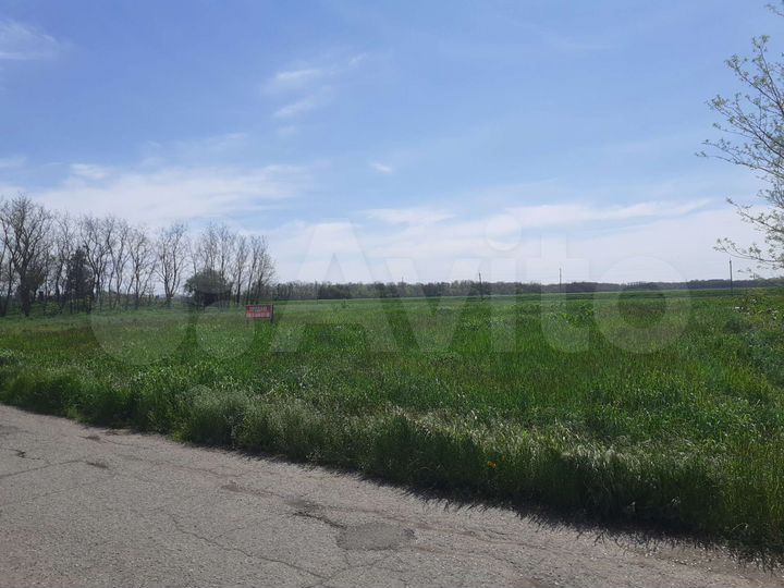 Участок 25 сот. (ИЖС)