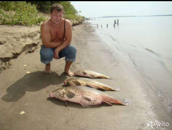 Рыбалка и охота в Астрахани низовья