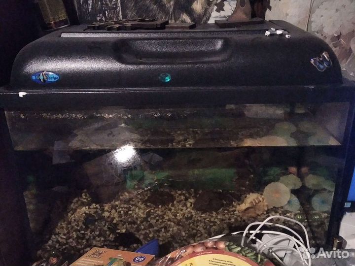 Продаю аквариум бу