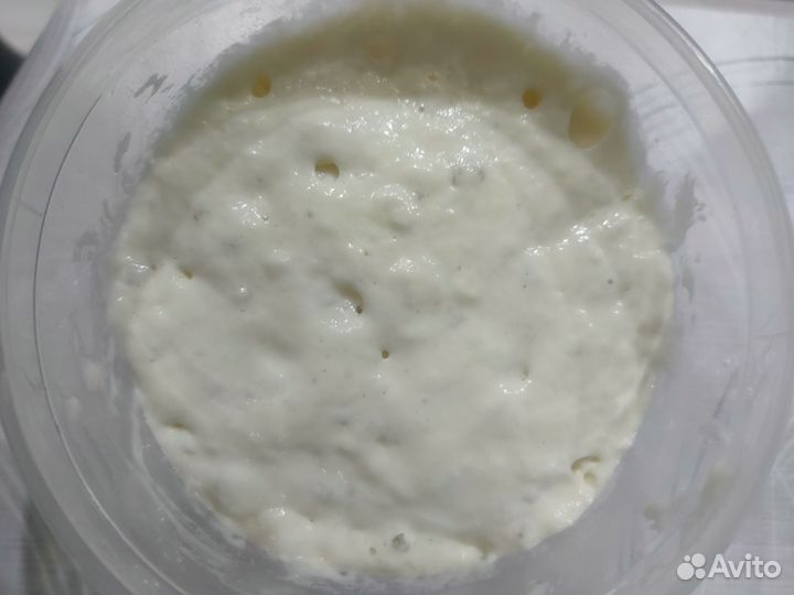 Бездрожжевая пшеничная закваска