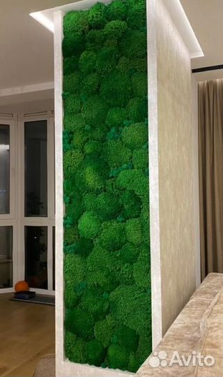 Вечно живой зеленый мох для декора помещений