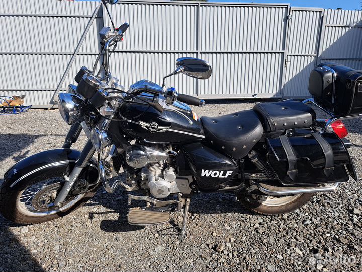 Motoland wolf 250