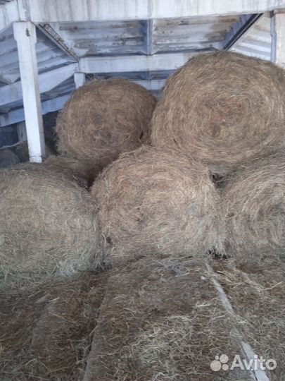 Сено в тюках