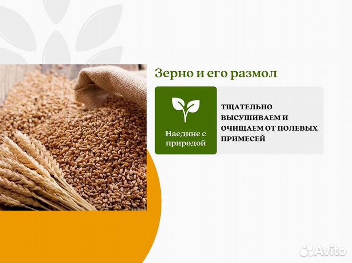 Пшеница Размол (кг)