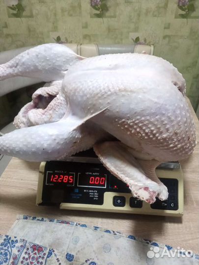 Мясо индейки бройлерной