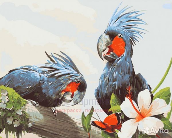 Картина по номерам 40x50 Хохлатые попугаи