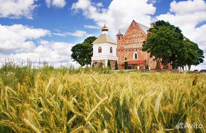 Тур поездка в Беларусь на 7 нч