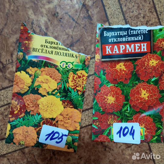 Бархатцы низкорослые рассада