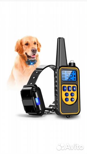Ошейник для собак дрессировки